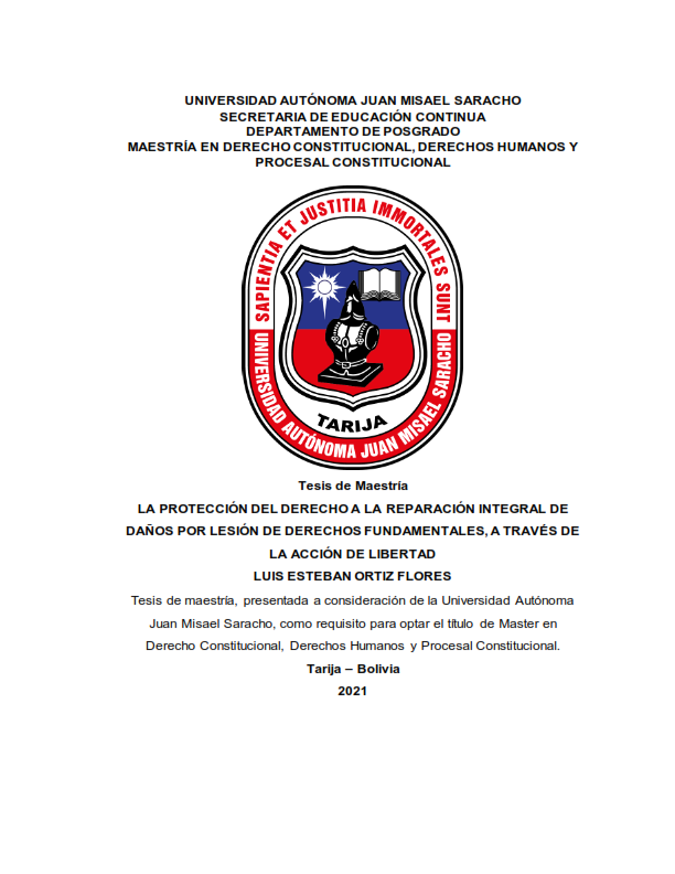 LA PROTECCIÓN DEL DERECHO A LA REPARACIÓN INTEGRAL DE DAÑOS POR LESIÓN DE DERECHOS FUNDAMENTALES, A TRAVÉS DE LA ACCIÓN DE LIBERTAD